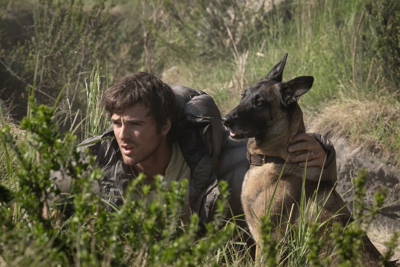 Der beste Freund des Menschen bleibt auch nach der Katastrophe der Hund und heißt in „The Dog Stars“ Jasper. (Foto: 20th Century Studios)