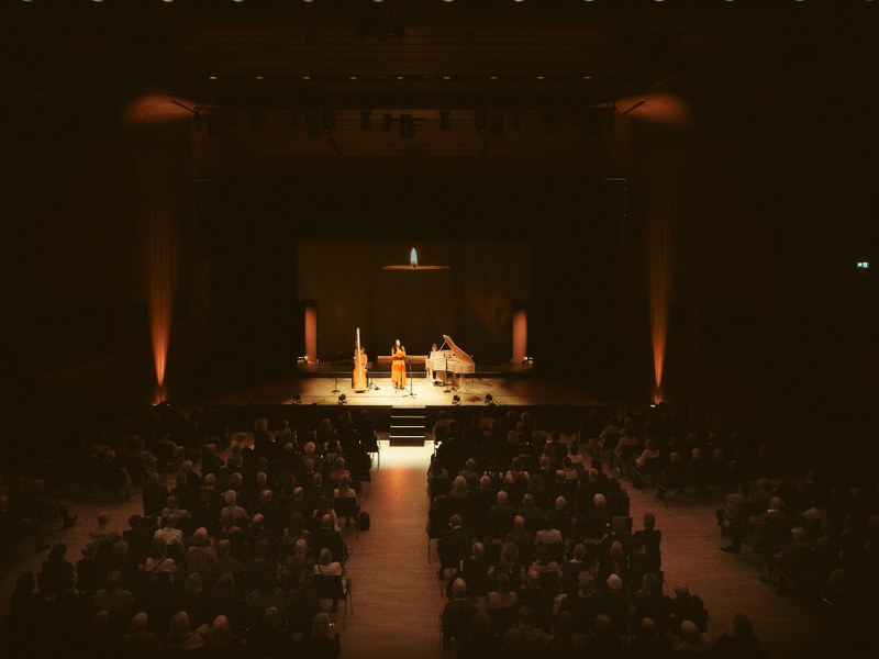 Zum Eintauchen in den Klang einer feinsinnig agierenden Sopranistin, einer historischen Harfe, eines Streichklaviers sowie einer Nyckelharpa luden die Montforter Zwischentöne. (Foto: Lucas Breuer)