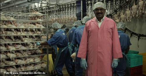 Fleischfabrik in Indien, 1 Million Hühner pro Tag...