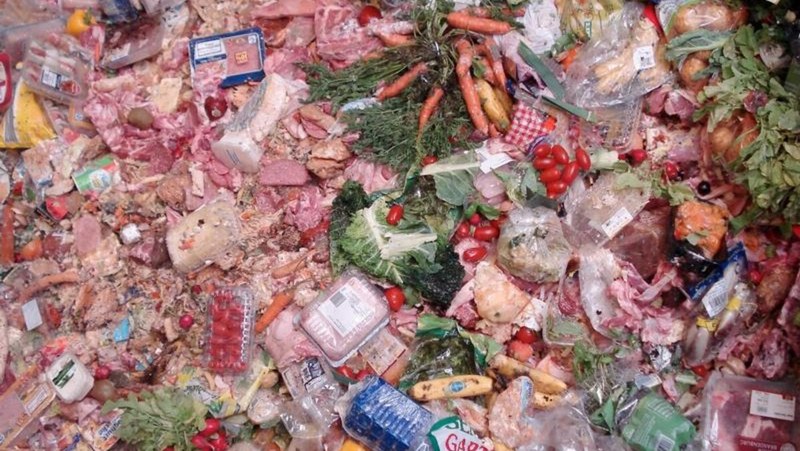 Taste the Waste