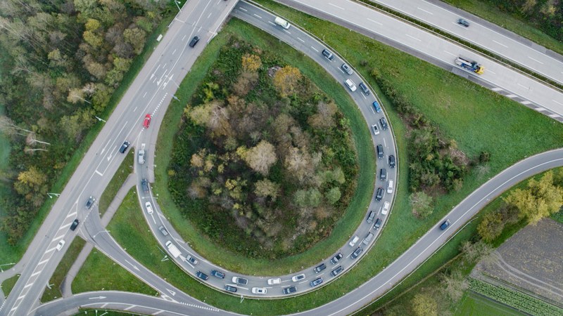 Verkehrsinsel als letzte natürliche Bastionen