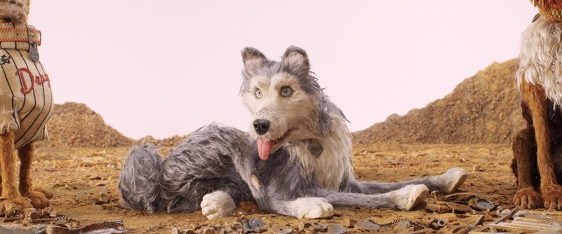 Das Schnauzenfieber der Hunde macht sie zu Pariahs, gesteuert von politischen Interessen. Ein recht expliziter Hintergrund, den Anderson seinen Animationshelden unterlegt.