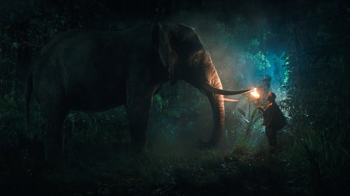 Begegnung mit Elefanten und dem eigenen Ich. Die wahren Abenteuer sind im Kopf, postulierte es Andre Heller einmal.