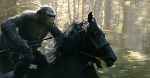 Affen reiten auf Pferden: Sinnbild für die verlorene Vormacht des Menschen.