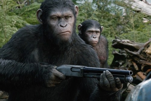 Affen mit Gewehren: die Frage von Krieg und Frieden ist kein Primat der Menscheit, wie diese Erzählung zeigt.