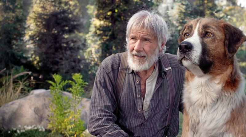 Nett: Harrison Ford mit Zausebart und Schnapsflsche, aus der Sicht des Hundes Buck gesehen.