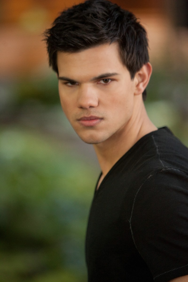 Taylor Lautner, der Karate-Meister als friedfertige Teen-Werwolf-Version.