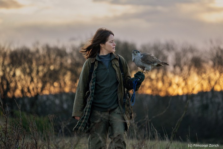 H Is for Hawk – H wie Habicht