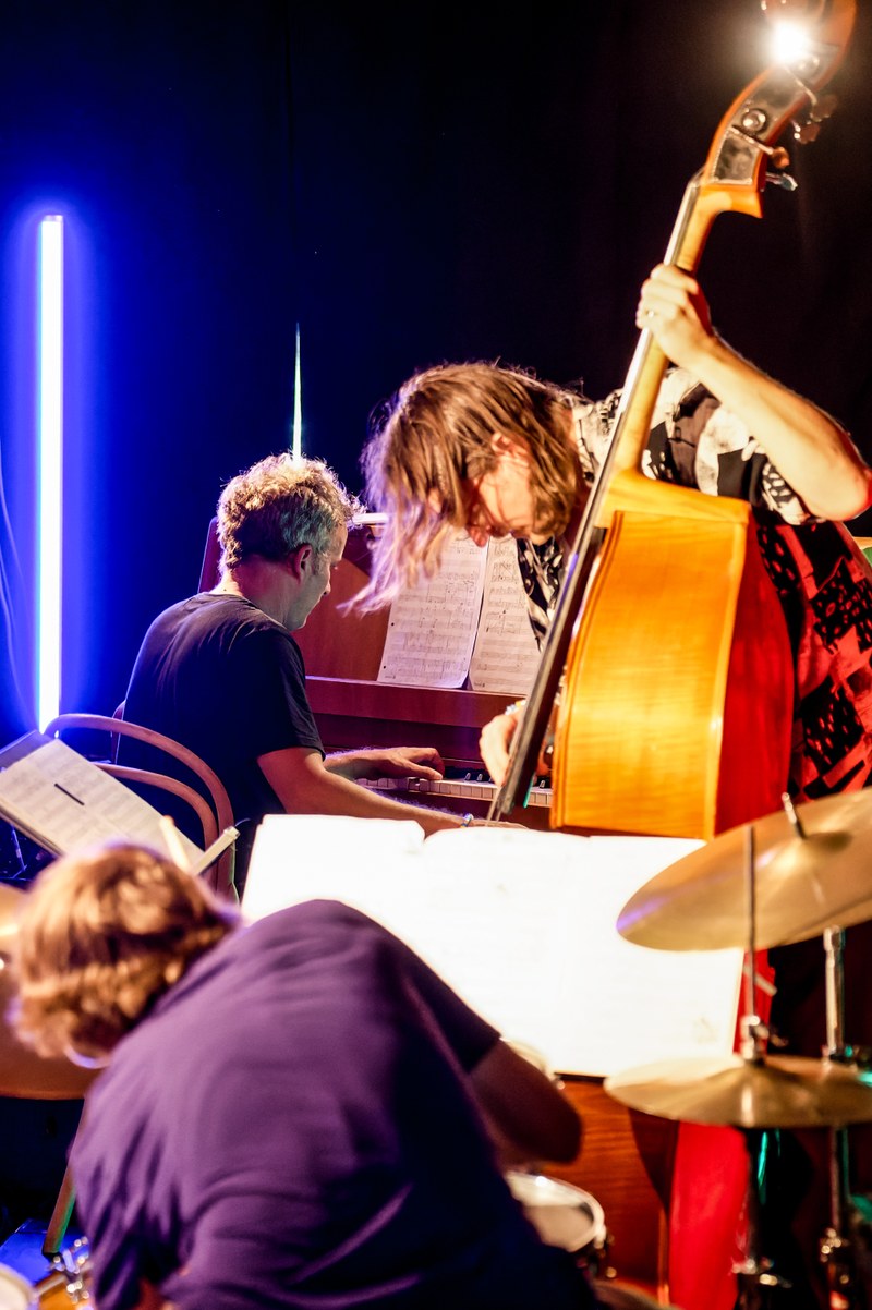 Das Kölner Philip Zoubek Trio lieferte mit seinem 45-Minuten-Stück den perfekten Soundtrack für die Apokalypse (Foto: Stefan Hauer)