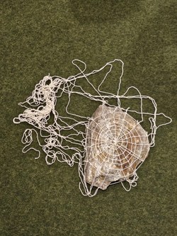 Julia Steiner - Spinnennetz (Foto: Karlheinz Pichler)