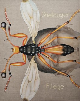 Lisa Althaus, Stielaugenfliege, Öl auf Leinwand, 2023