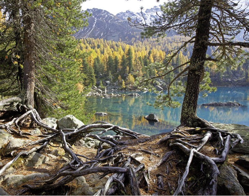 Sechs Jahre lang machte Conrad Amber auf Reisen durch Österreich, Deutschland, die Schweiz und Südtirol über 30.000 Fotos: Saoseosee im Val Poschiavo