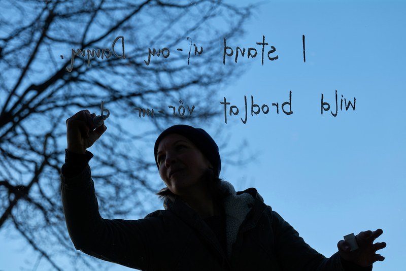 Verena Marte brachte die Gedichte mit weißer Kreidefarbe in die Schaufenster (© Miro Kuzmanovic)