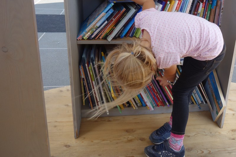 Am Sonntag ist Familienlesetag - mit einer Vielzahl von Kinder- und Jugendbüchern in den Regalen