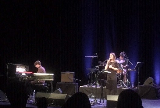 Karin Ospelt mit ihrer Band „Pioneer plant“