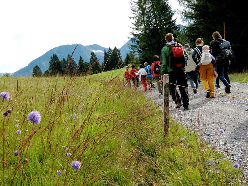 Ideales Wanderwetter für rund 25 Teilnehmer auf der Tschengla