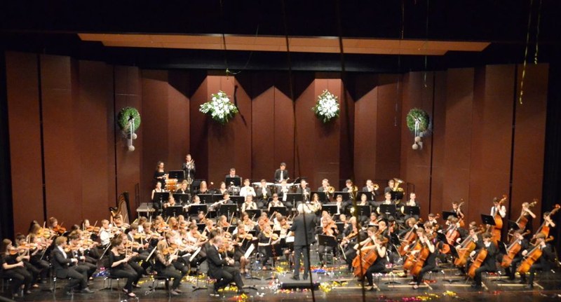 Eine Grundidee geht auch auf das Wirken des Jugendsinfonieorchesters Dornbirn unter der Leitung von Guntram Simma zurück. Dieses Orchester fand über die Landesgrenzen hinaus Beachtung und war über viele Jahre hinweg eine Kaderschmiede für angehende Musikerinnen und Musiker des Landes.