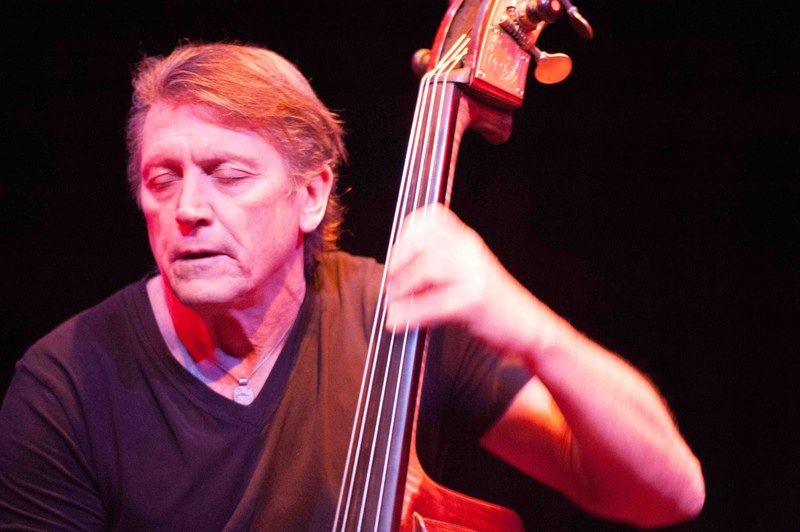 Kein "Abracadabra": Bassist Peterson     (alle Fotos: Stefan Hauer)