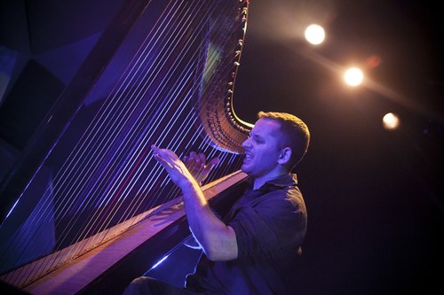 Eine Harfe als seltenes Bühneninstrument zeitgenössischer Bands