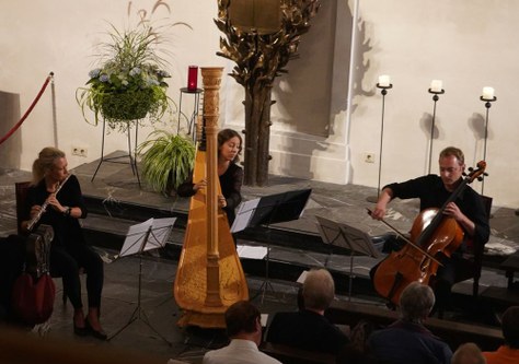 Das Trio Concertante - Simone Bösch (Flöte), Julia Scheier (Harfe), Thomas Dünser (Violoncello) - beeindruckte durch die fein nuancierte Spielart.