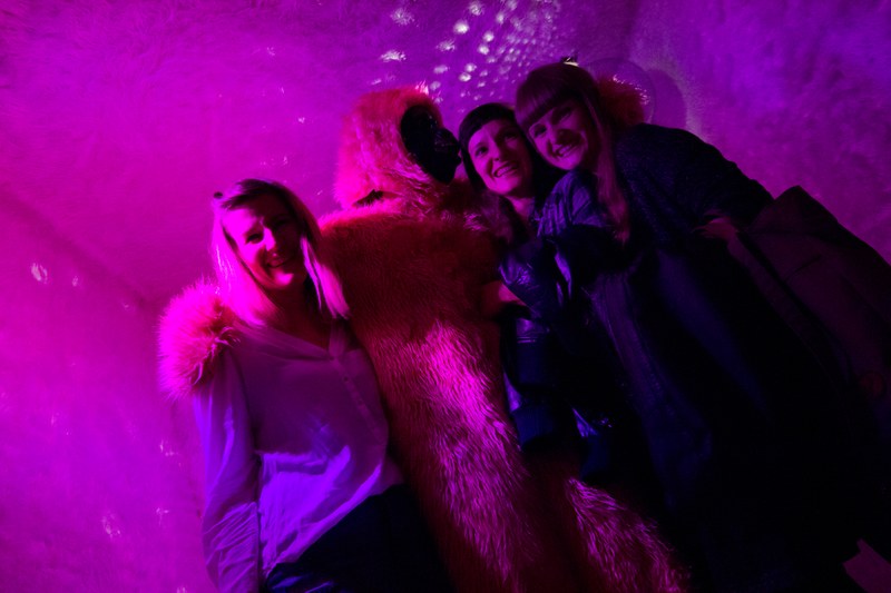 Gruppenbild mit Gorilla
