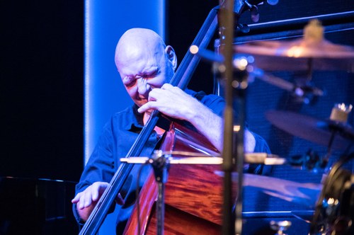 Kontrabassist Dan Berglund ist ein exzellenter Rhythmiker ... (Foto: Stefan Hauer)