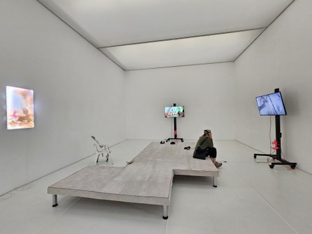Hier ein Blick in die Ausstellung im Kunstraum Remise.