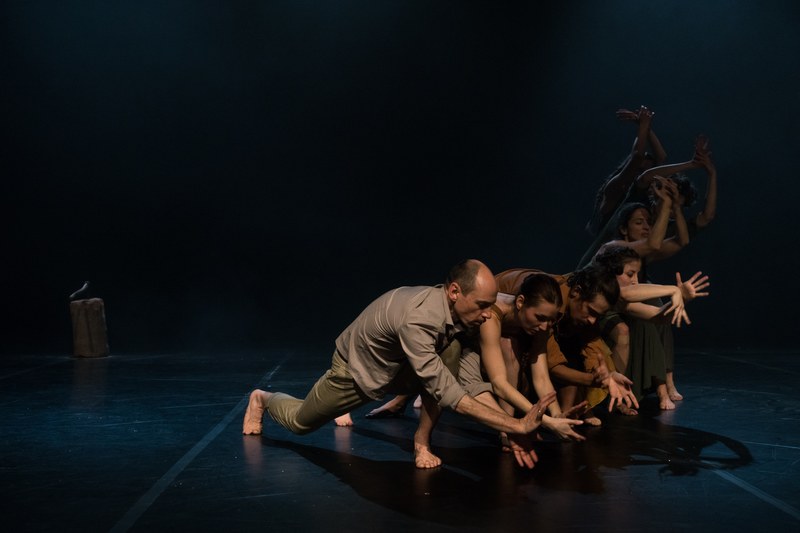 Das Stück "Sacred Scars" gewann durch die Wiederaufnahme enorm an Klarheit. Das Vorarlberger Tanzensemble geht nun auf Tour nach Berlin und St. Gallen © Sarah Mistura