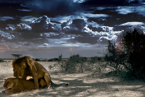 Die schwarzen Wolken sind dunkle Vorboten: Eine solche Tat wird mit dem Tod bestraft. (Foto: Terra Mater) 