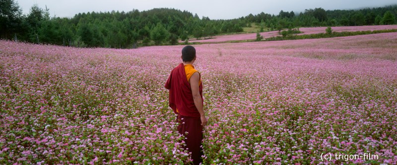 Was will der Lama mit dem Gewehr? - The Monk and the Gun