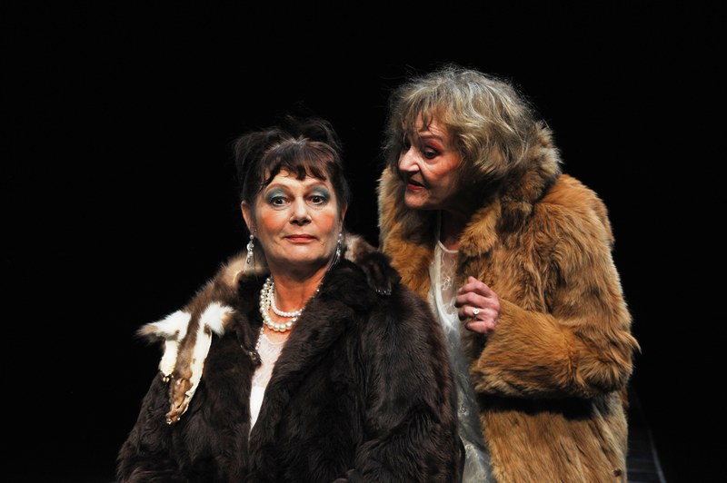 Gertraud (Susanne Altschul) lässt sich von Emma (Johanna Tomek) die Esterhazy-Schnitten nicht vergällen