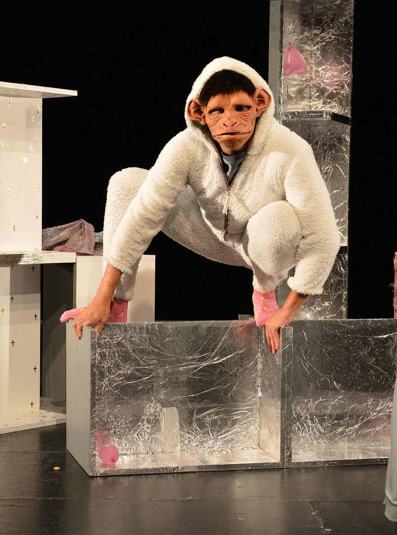 Schimmi macht sich zum Affen! (Fotos: Gerhard Kresser)