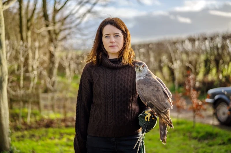 H wie Habicht – H Is For Hawk